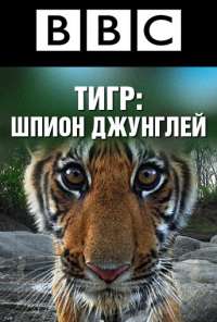 BBC: Тигр - Шпион джунглей (2008) онлайн бесплатно