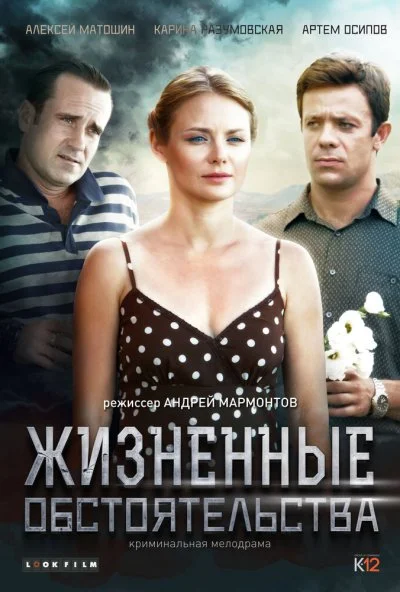 Жизненные обстоятельства (2014)